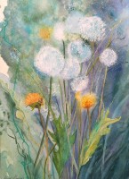 Dandelion Days